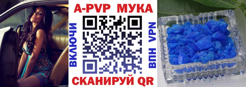 APVP СК Ухта