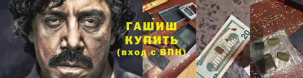гидра Алексин