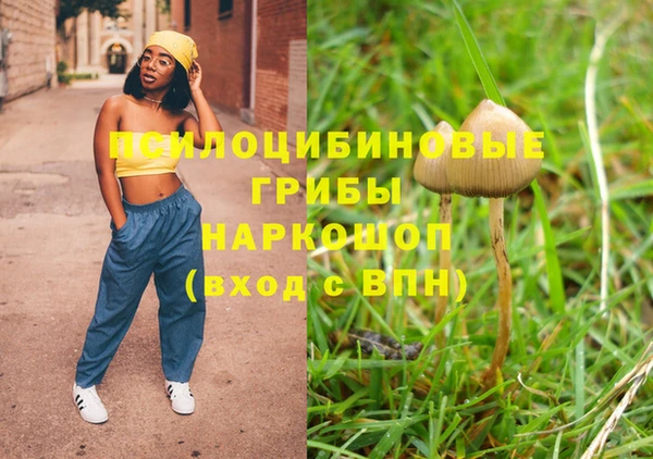 стаф Алексеевка