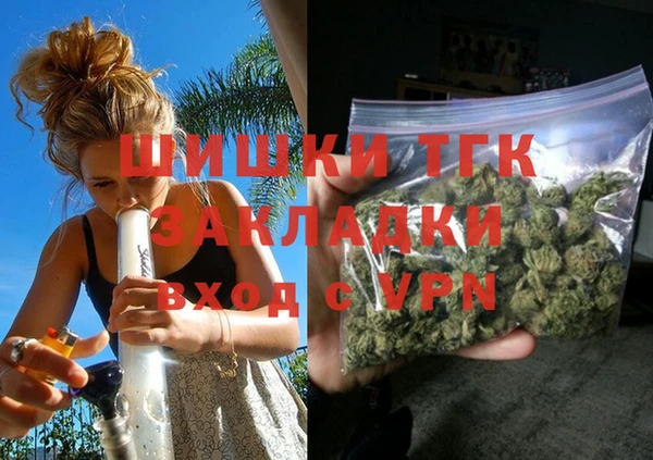 гидра Алексин